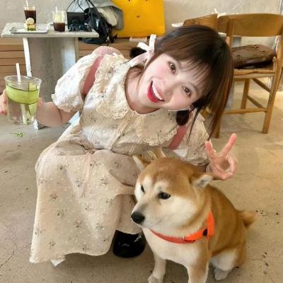 登峰酷儿